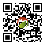 Newsletter Subscriber QR Code