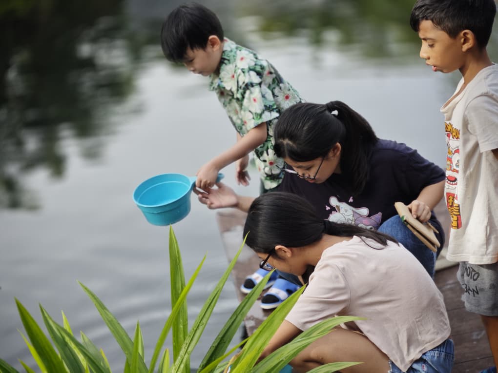 WhatsApp Image 2025-12-26 at 13.54.38